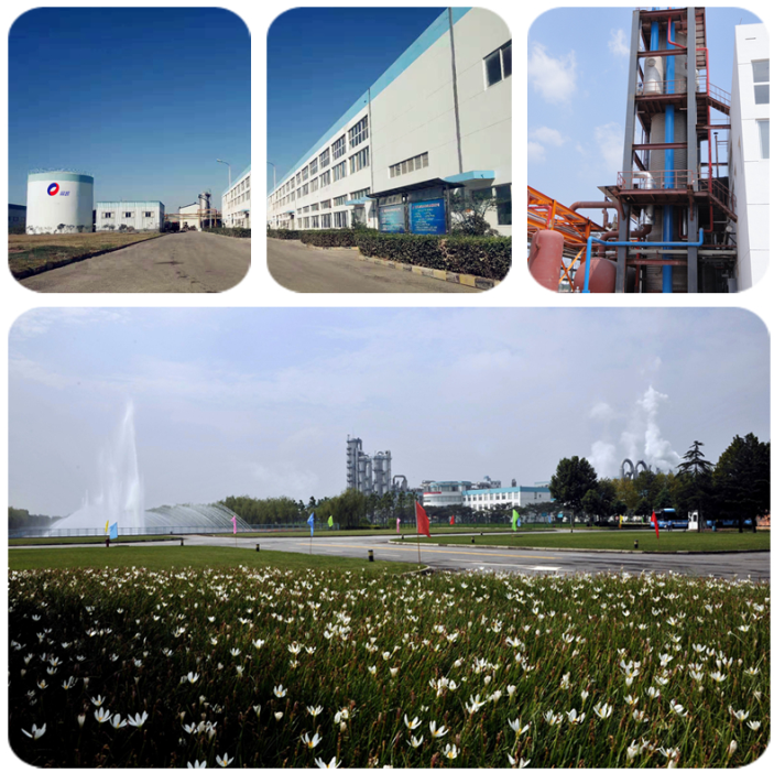 YE315 Saccharomyces Cerevisiae Extract