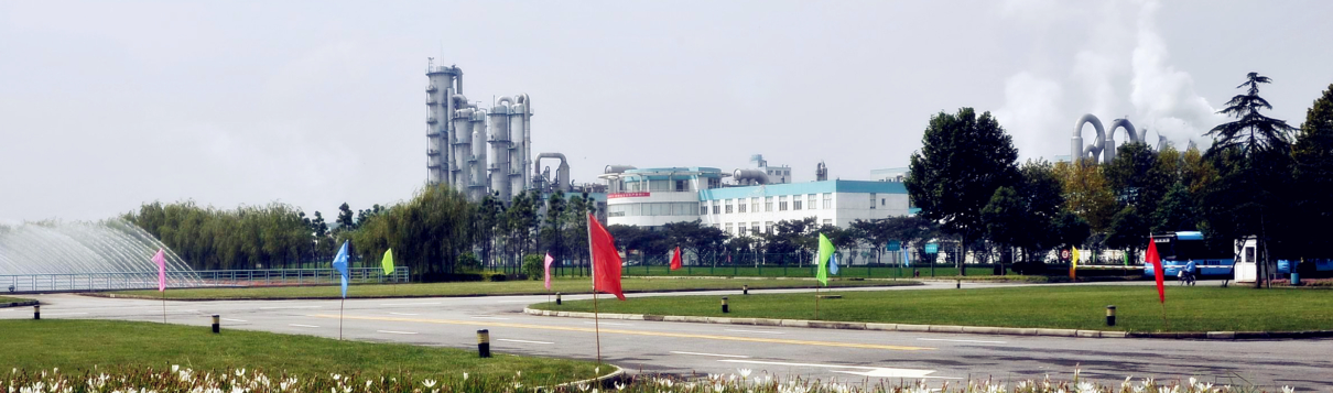 High-Nucleic Acid Yeast Extract (YE Series Yeast Culture)‌