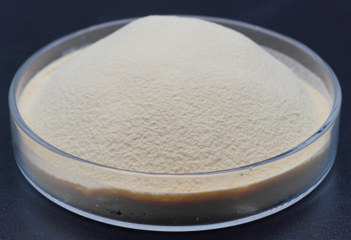 High Glutathione Yeast