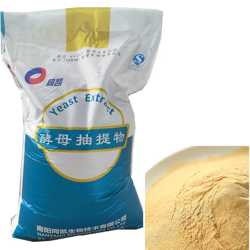 High Nucleotide Yeast Extract