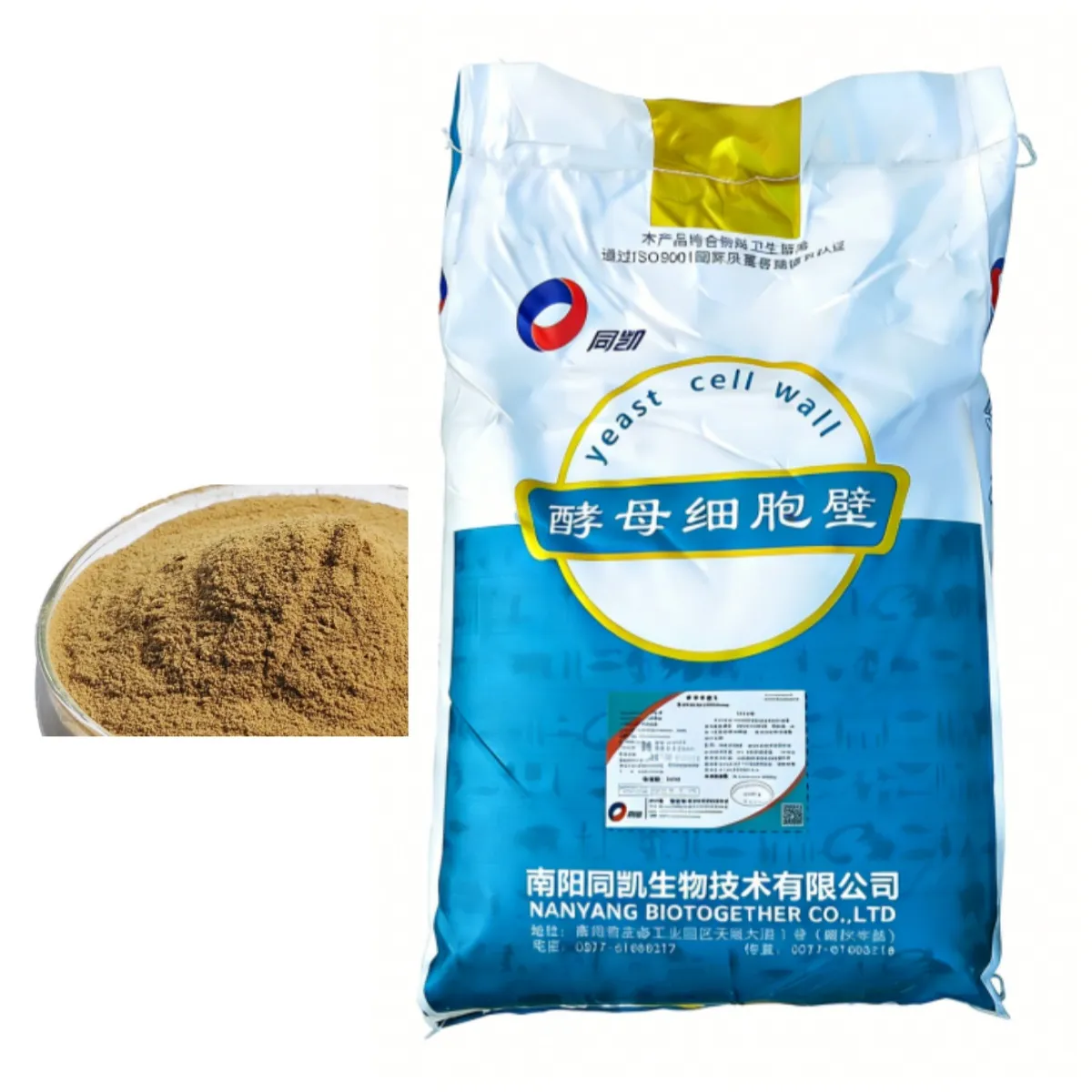 Saccharomyces cerevisiae Cell Wall