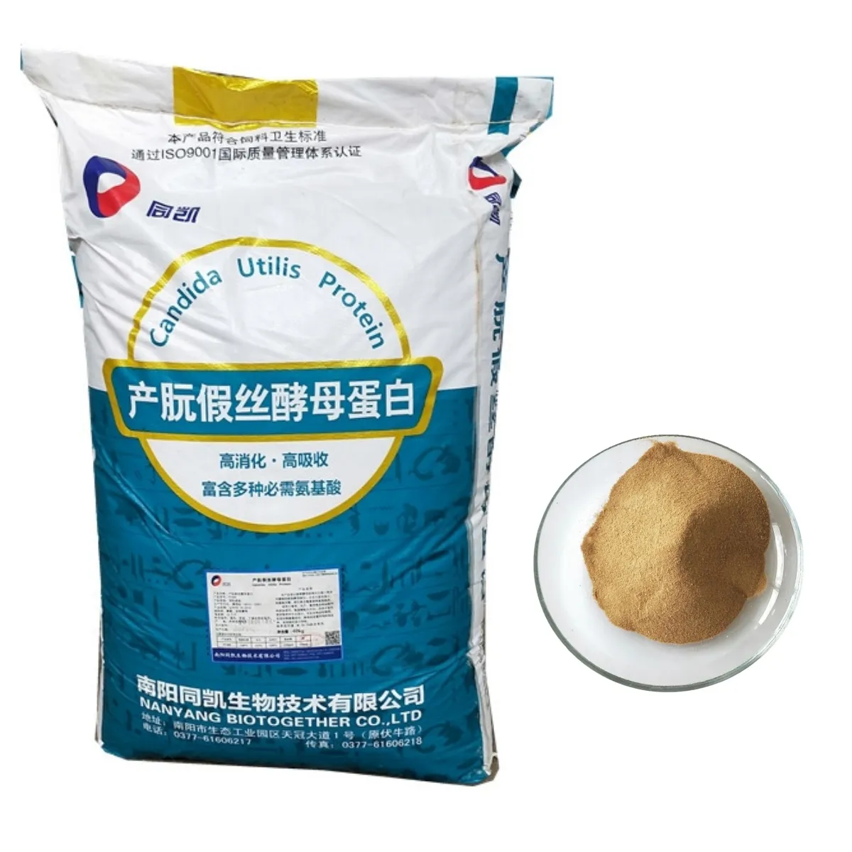 YP451 Candida utilis protein